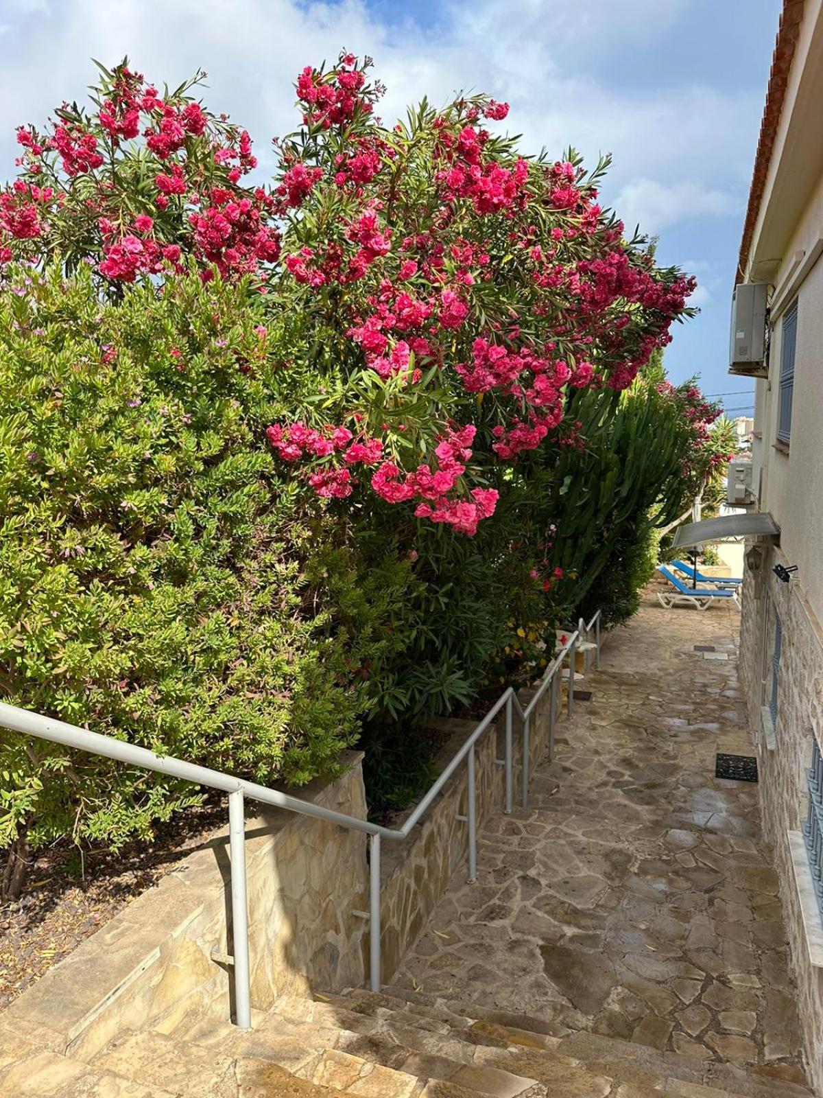 Apartamentos En La Villa Con El Territorio Comun En Calpe Buitenkant foto